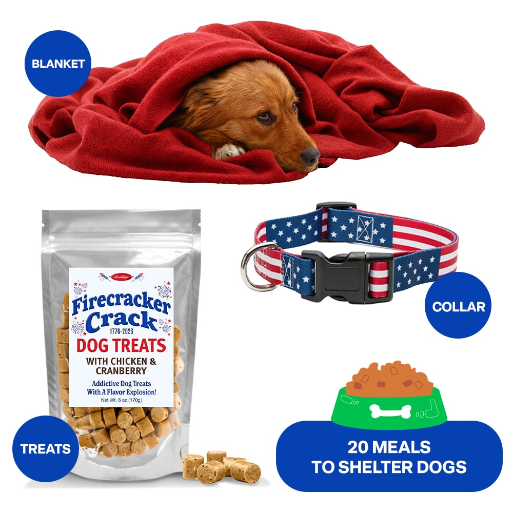 Send a Dog Rescue a Paws for Freedom Care Package
