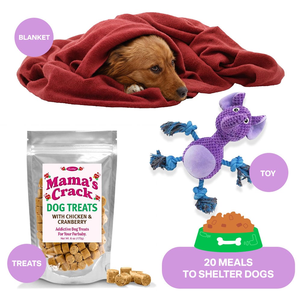 Send a Dog Rescue a Mother’s Day Care Package