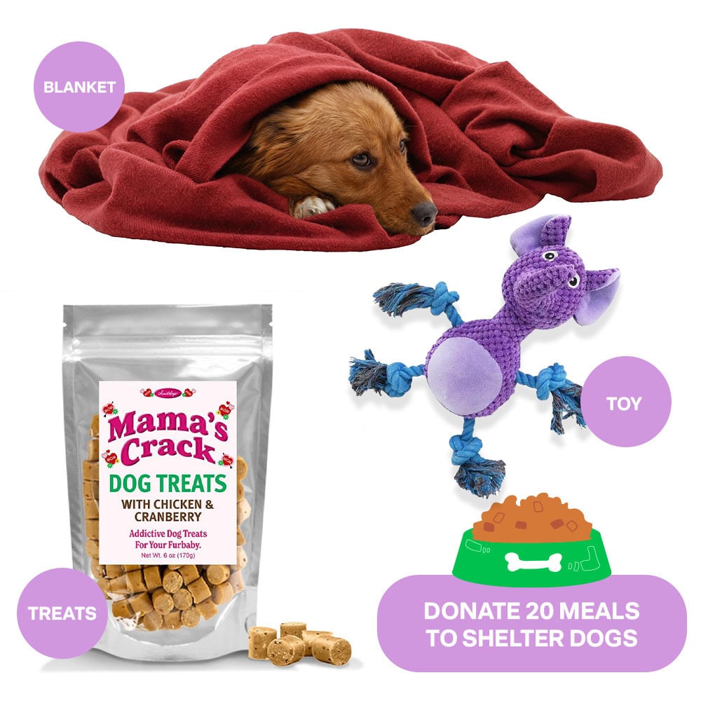 Send a Dog Rescue Care Easter Basket