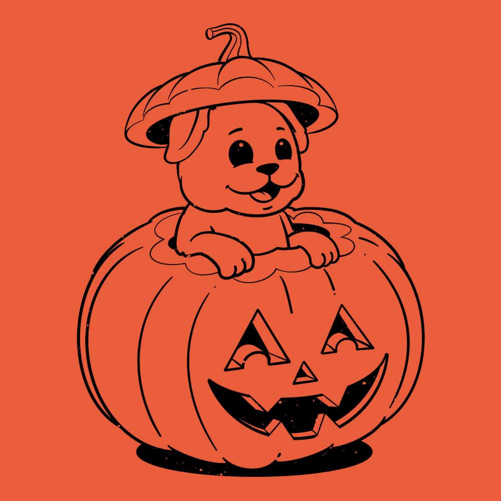 Secondary Product Image