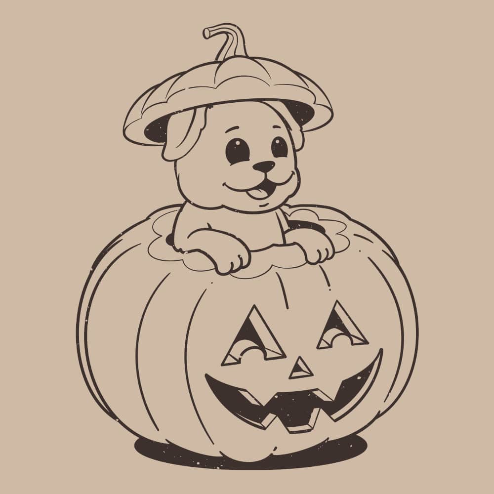 Secondary Product Image