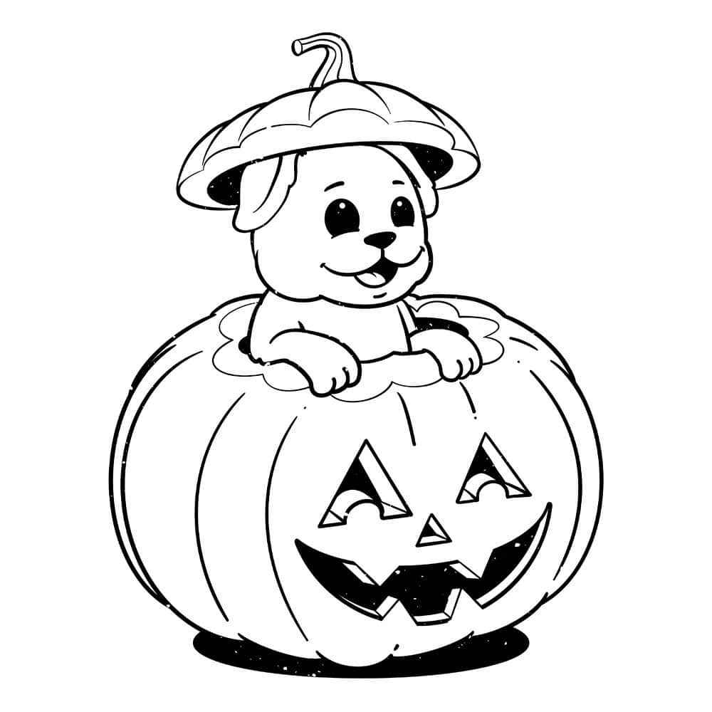 Secondary Product Image