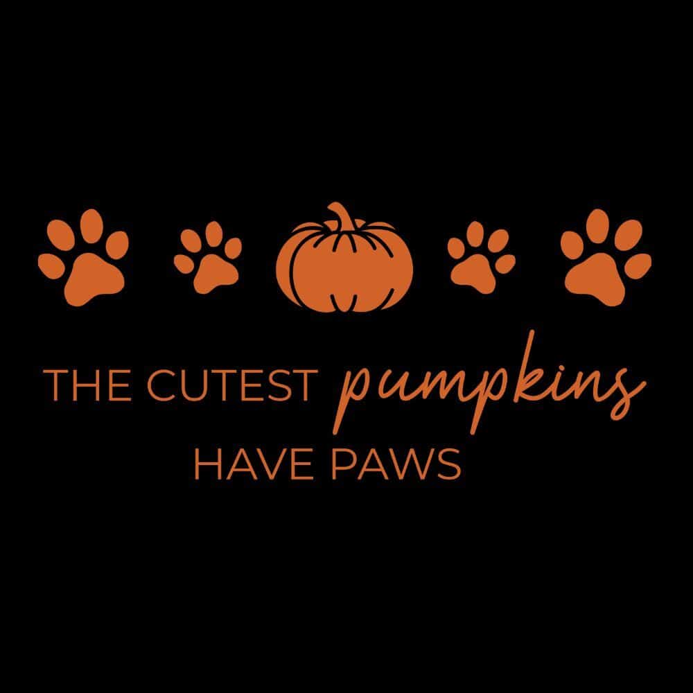 Secondary Product Image