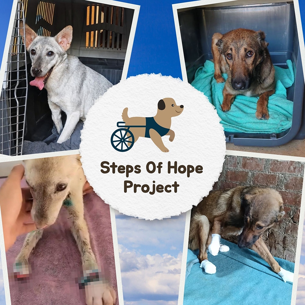 Steps of Hope Donation – Help Brooke & Clifford Walk Toward a New Life