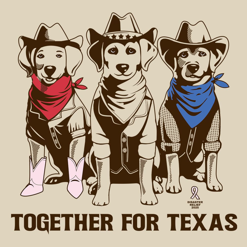 Secondary Product Image