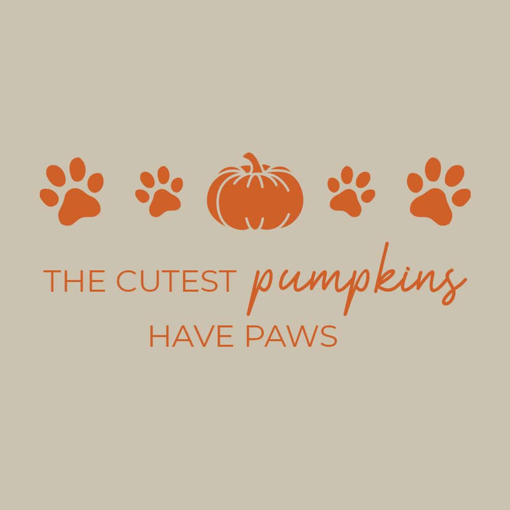 Secondary Product Image