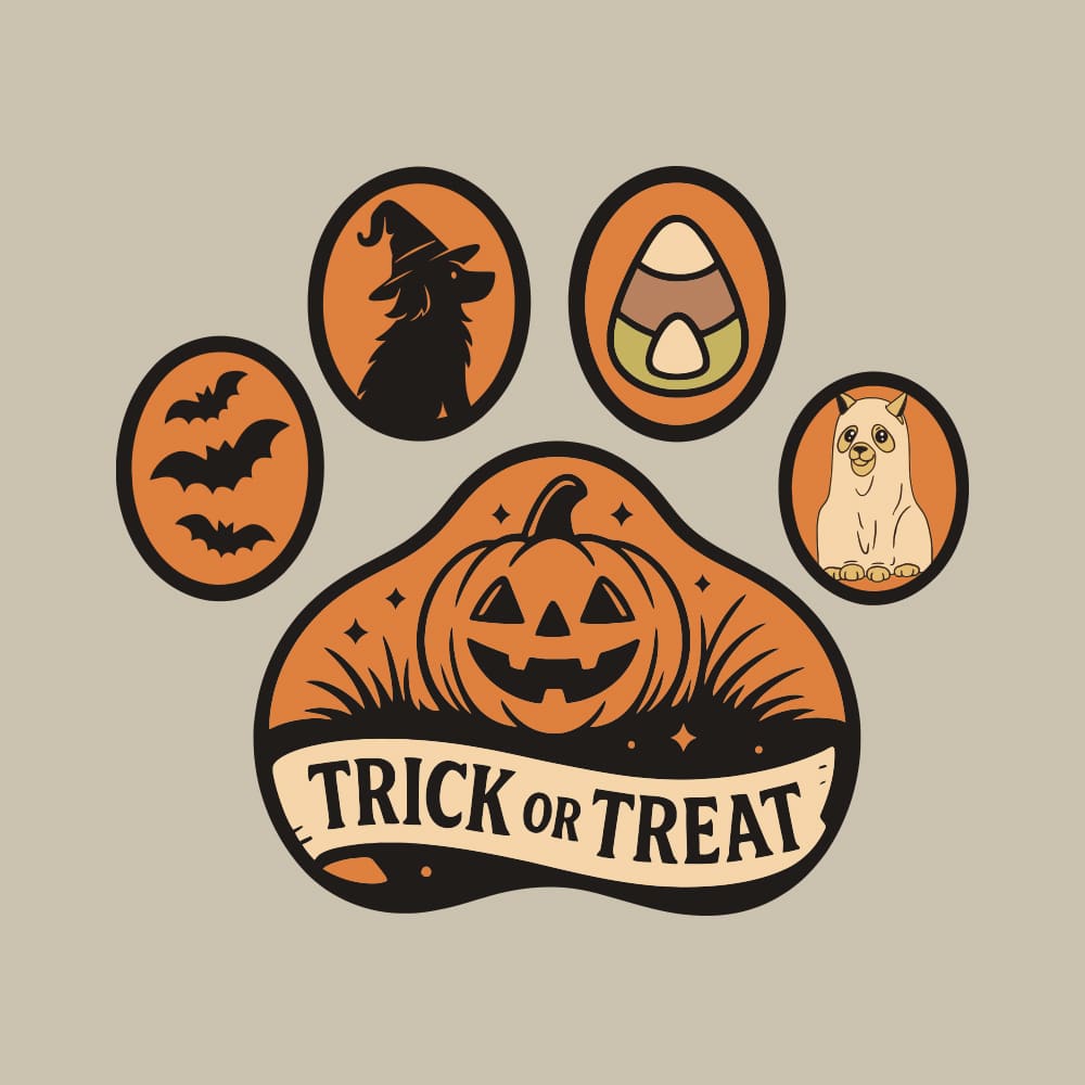 Secondary Product Image