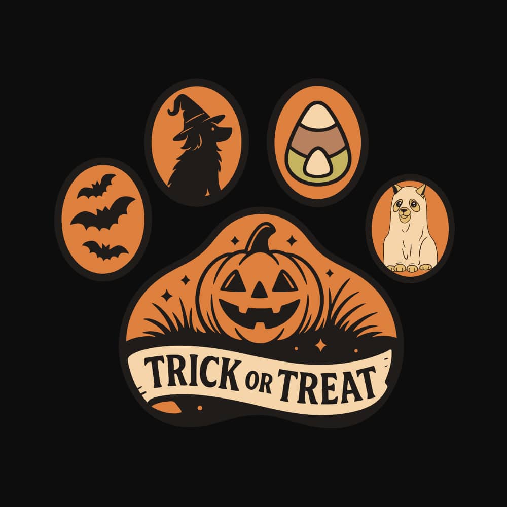 Secondary Product Image