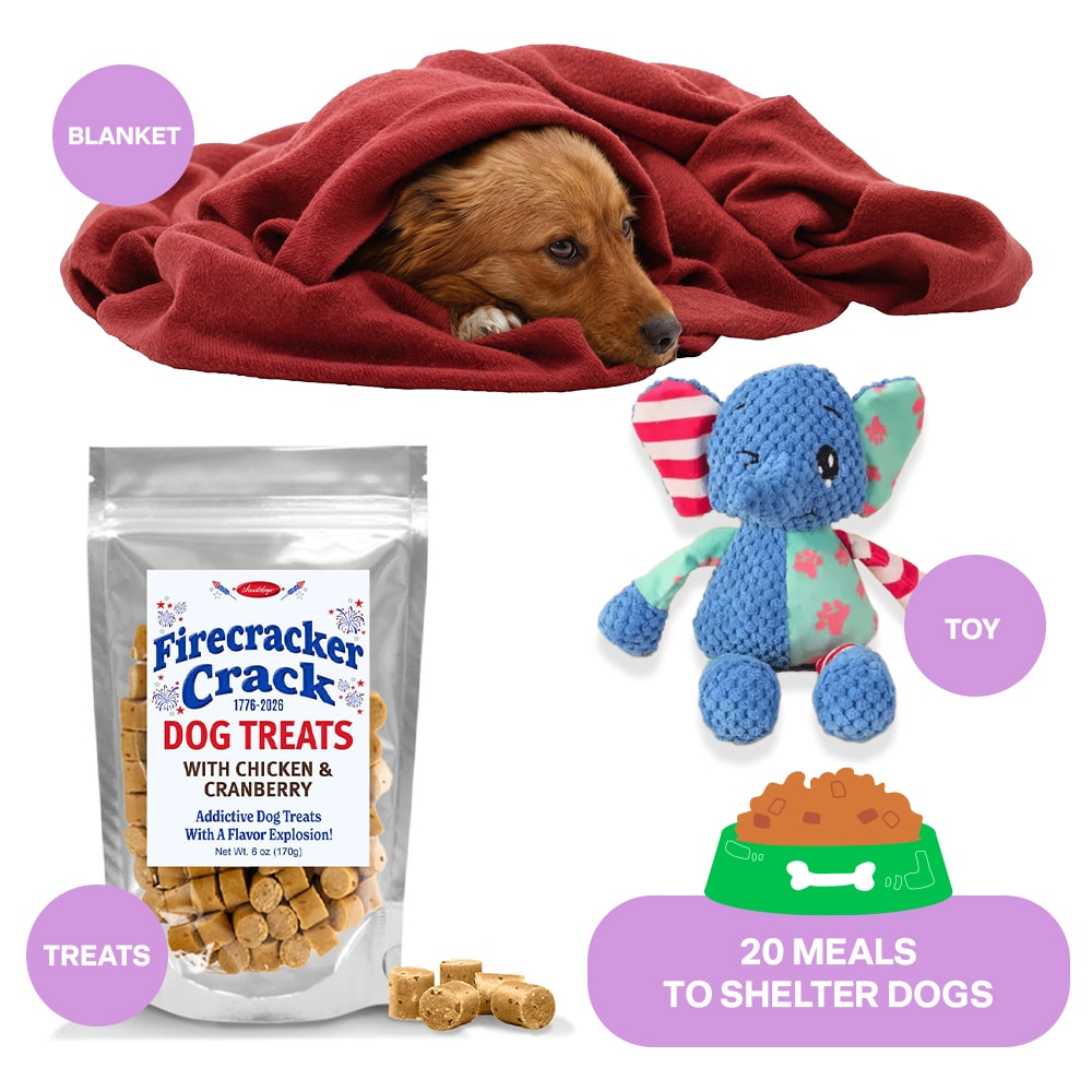 Send a Dog Rescue an Overlooked and Forgotten Care Package