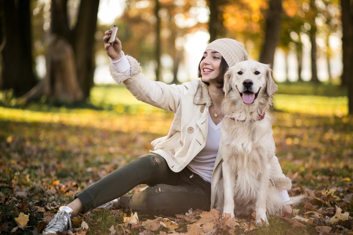 A dog gazing with devoted eyes, radiating warmth and loyal connection