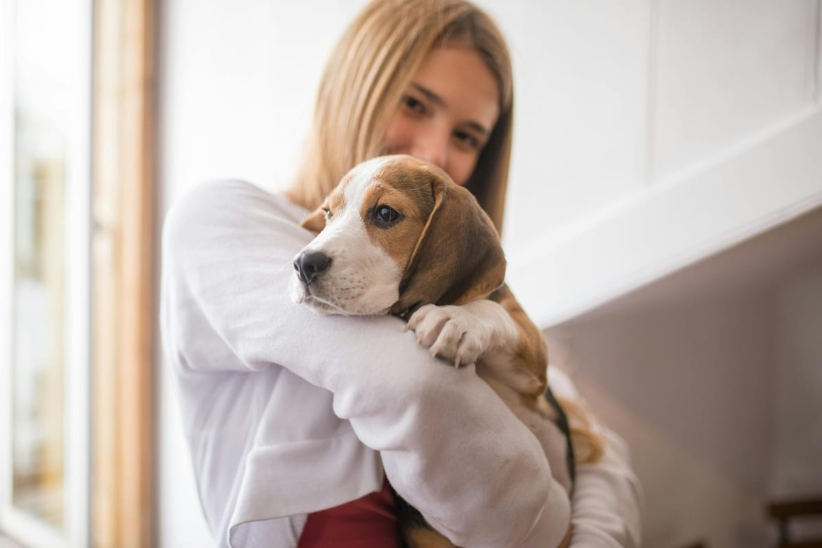 An expressive dog looking gently upward, reflecting a deep emotional connection