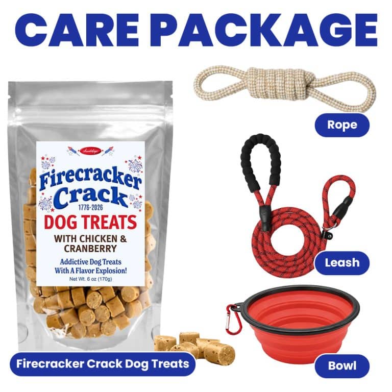 Send a Dog Rescue a Beat the Heat Care Package