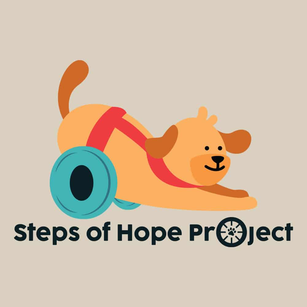 Steps Of Hope Project Fun Standard Tee Tan - Image 2