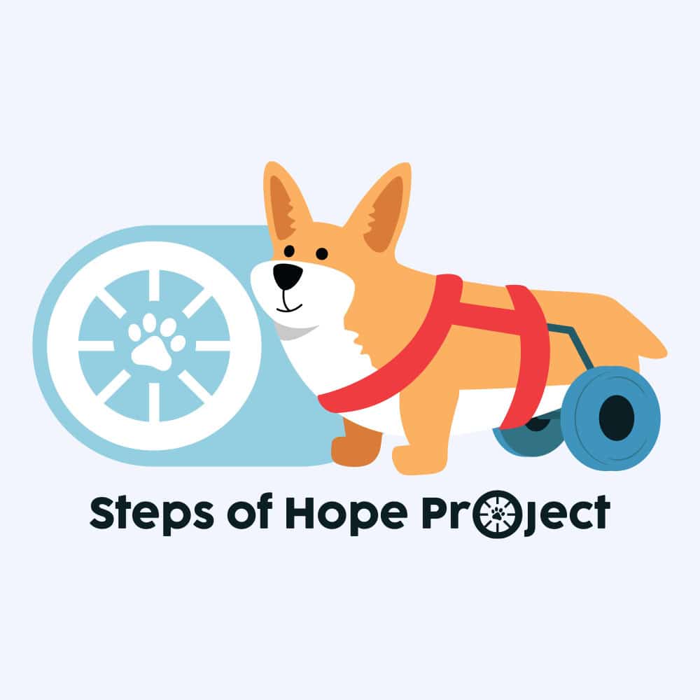 Steps Of Hope Project Cute Standard Tee White - Image 2