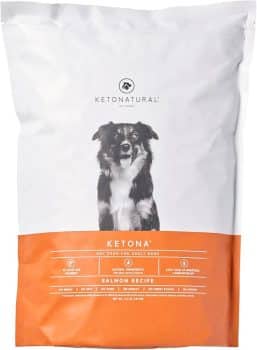 Ketona Salmon Recipe Adult Dry Dog Food