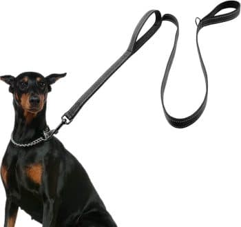 Heavy Duty 6FT Dog Leash