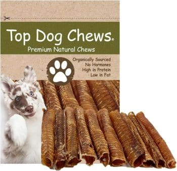 Top Dog Chews 12" Beef Trachea Dog Chews 10 Pack for Dogs
