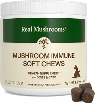 Real Mushroom Immune Pet Chews for Dogs and Cats