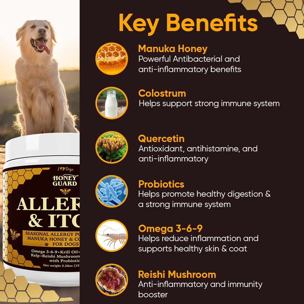 FREE Paw & Nose Healing Balm With Purchase of Honey Guard™ – Allergy & Itch Omega 3-6-9 Powder for Dogs Extra Strength with Manuka Honey, Quercetin, Colostrum, Krill Oil and Probiotics – 90 Scoops - Image 4