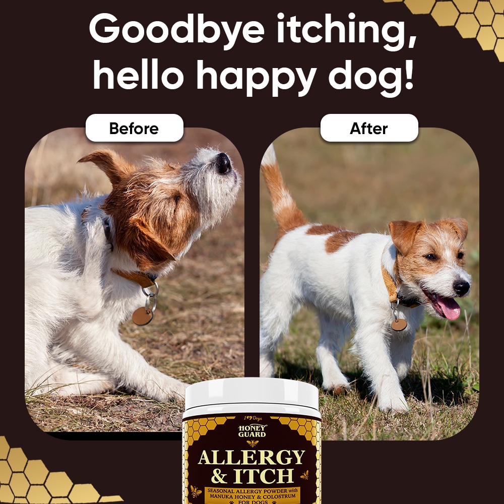 FREE Paw & Nose Healing Balm With Purchase of Honey Guard™ – Allergy & Itch Omega 3-6-9 Powder for Dogs Extra Strength with Manuka Honey, Quercetin, Colostrum, Krill Oil and Probiotics – 90 Scoops - Image 6