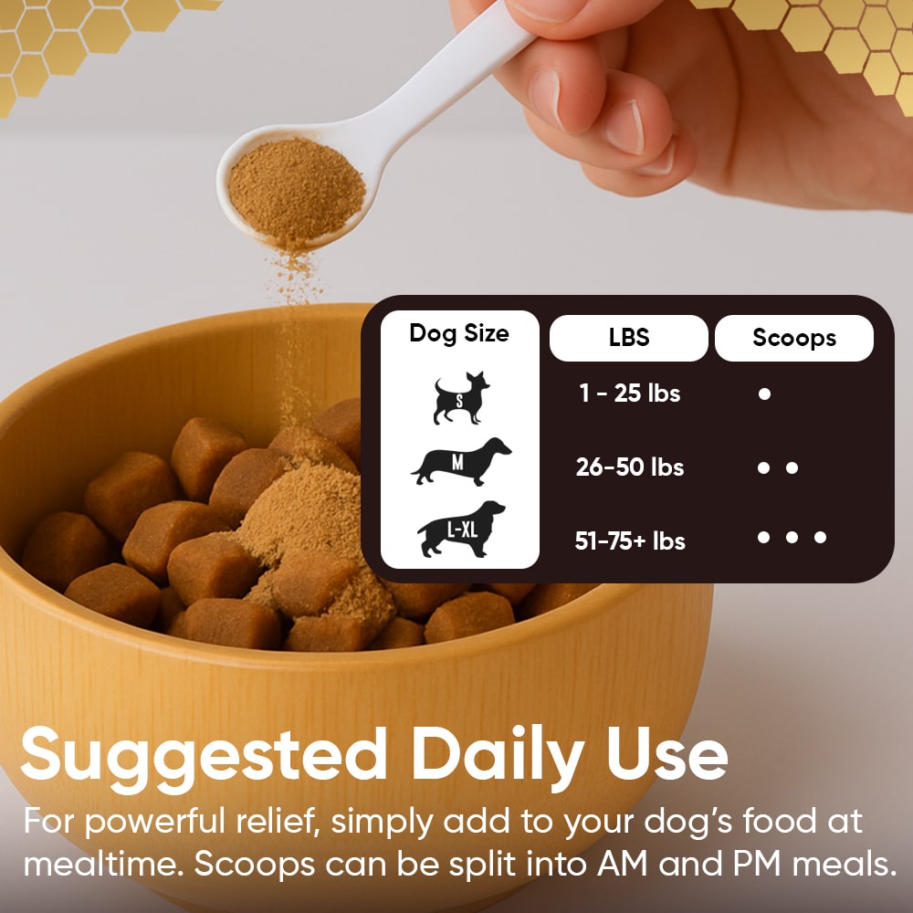 FREE Paw & Nose Healing Balm With Purchase of Honey Guard™ – Allergy & Itch Omega 3-6-9 Powder for Dogs Extra Strength with Manuka Honey, Quercetin, Colostrum, Krill Oil and Probiotics – 90 Scoops - Image 7