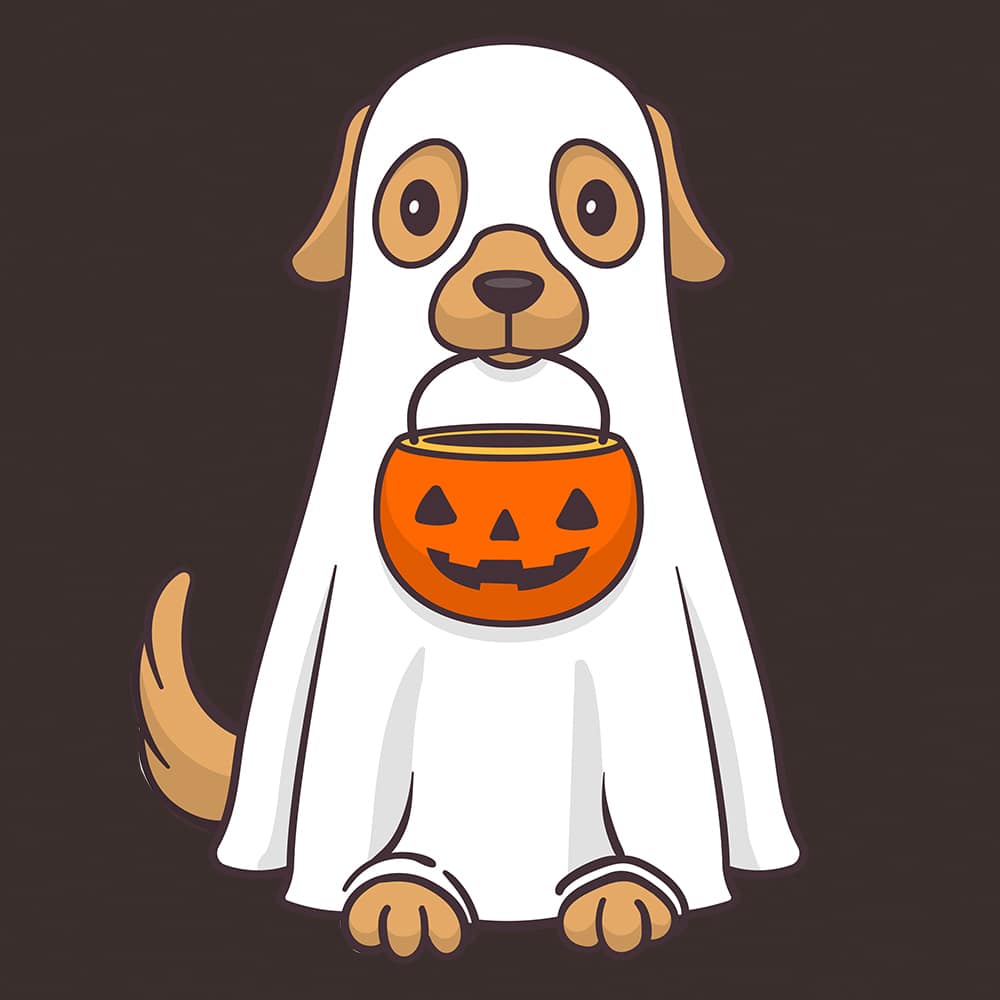 Secondary Product Image