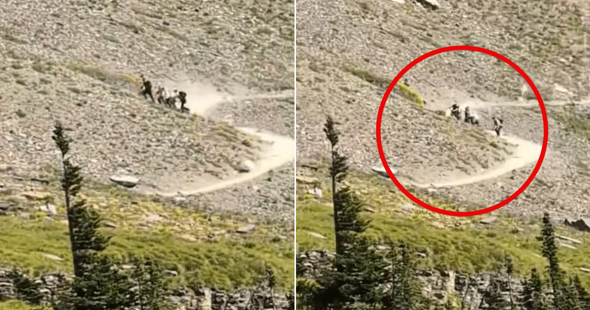 Hikers Panic As They Realize The Bear Is Sprinting Toward Them