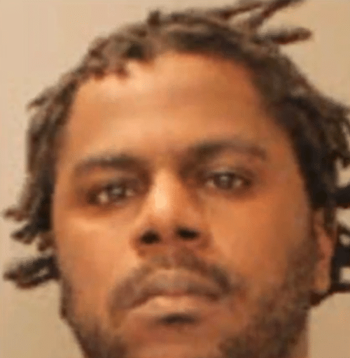 Man Charged in Animal Cruelty Case Dies in Crash, Dog Finds New Life ...