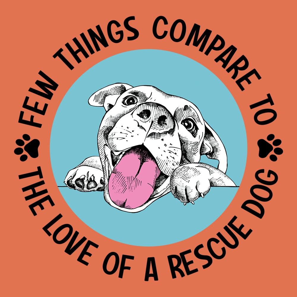 Secondary Product Image