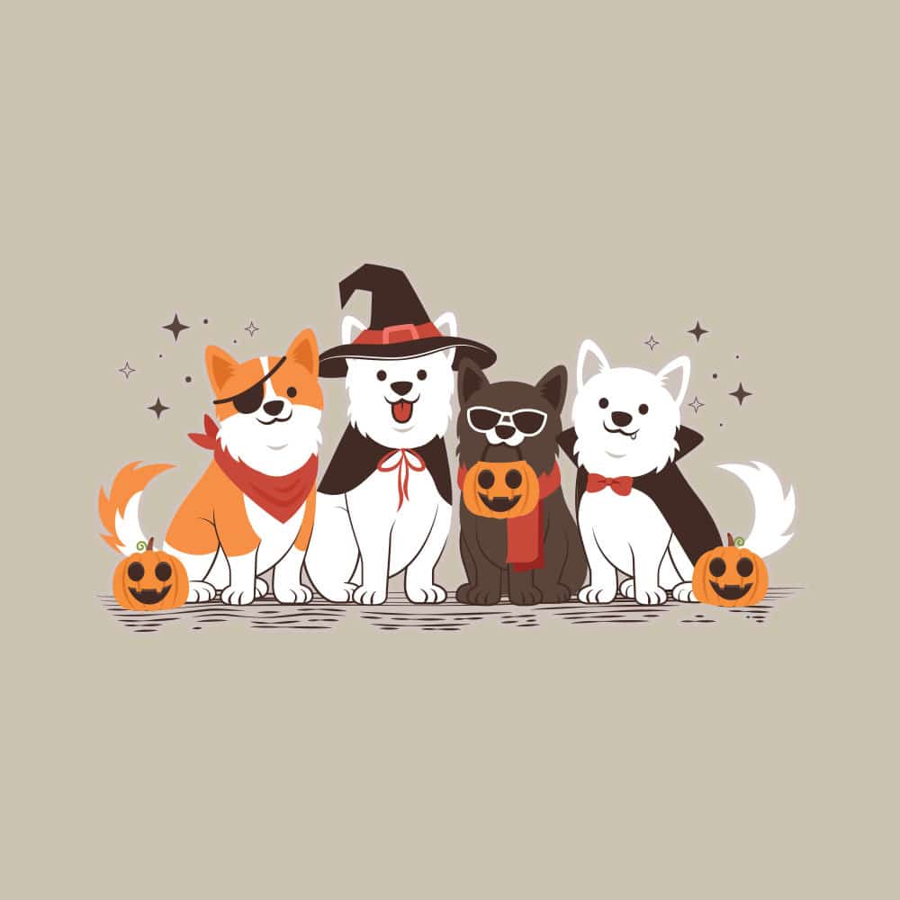 Secondary Product Image