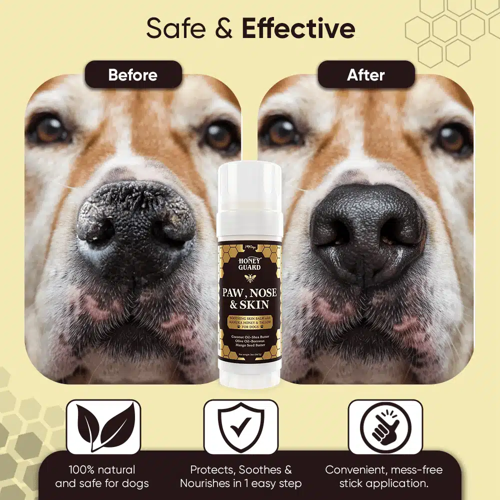 FREE Paw & Nose Healing Balm With Purchase of Honey Guard™ – Allergy & Itch Omega 3-6-9 Powder for Dogs Extra Strength with Manuka Honey, Quercetin, Colostrum, Krill Oil and Probiotics – 90 Scoops - Image 14