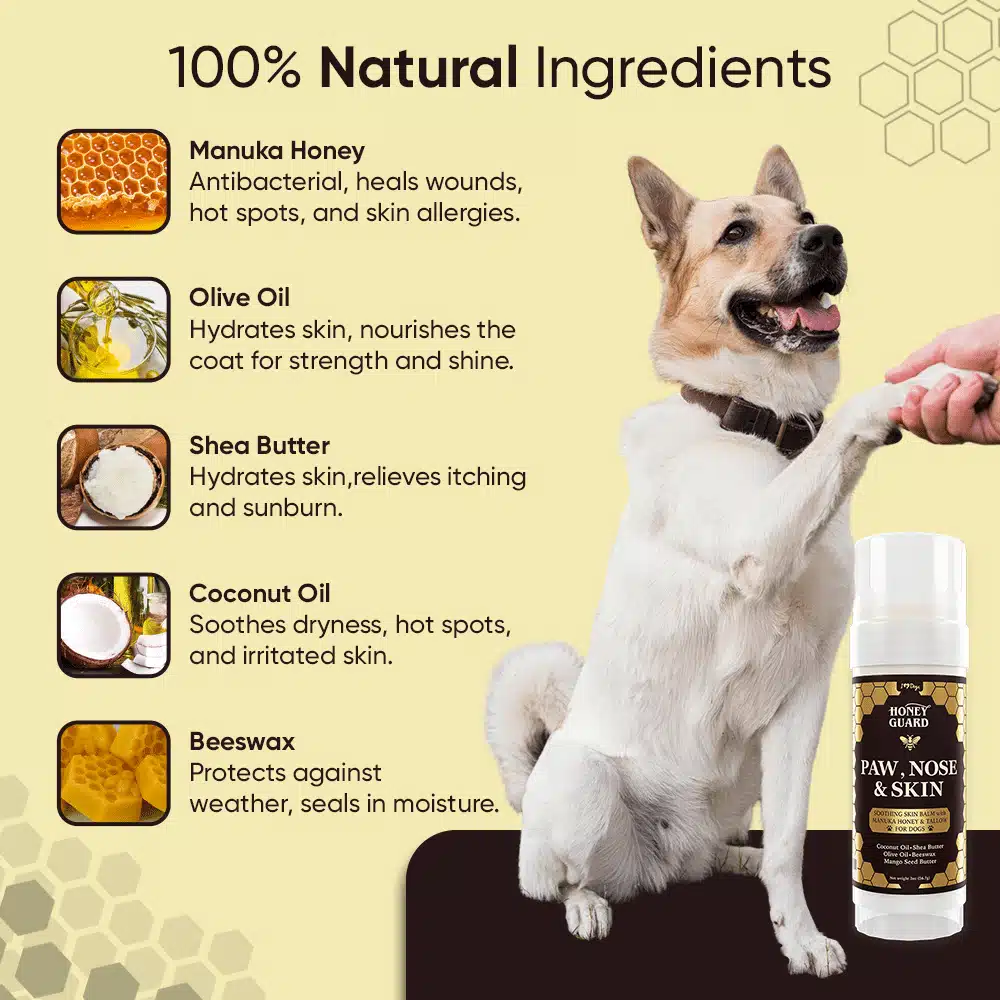 FREE Paw & Nose Healing Balm With Purchase of Honey Guard™ – Allergy & Itch Omega 3-6-9 Powder for Dogs Extra Strength with Manuka Honey, Quercetin, Colostrum, Krill Oil and Probiotics – 90 Scoops - Image 12
