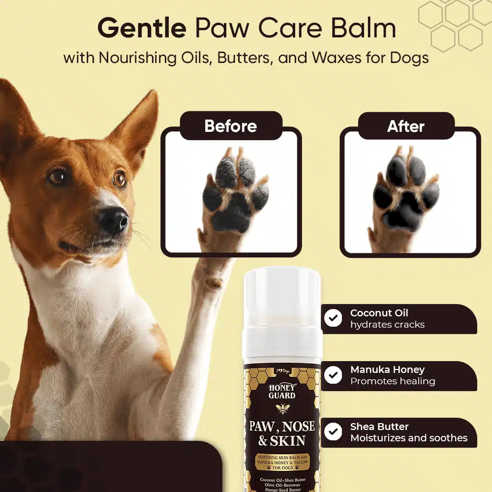FREE Paw & Nose Healing Balm With Purchase of Honey Guard™ – Allergy & Itch Omega 3-6-9 Powder for Dogs Extra Strength with Manuka Honey, Quercetin, Colostrum, Krill Oil and Probiotics – 90 Scoops - Image 15