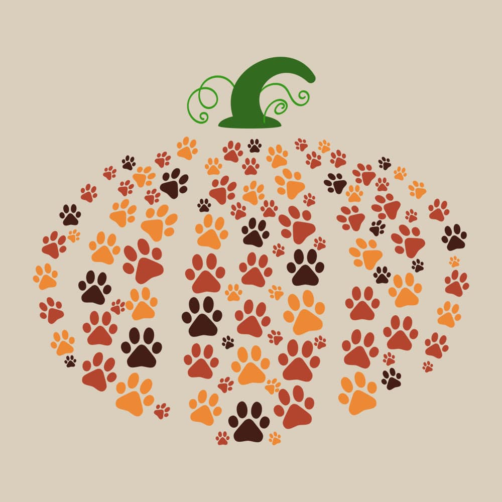 Secondary Product Image