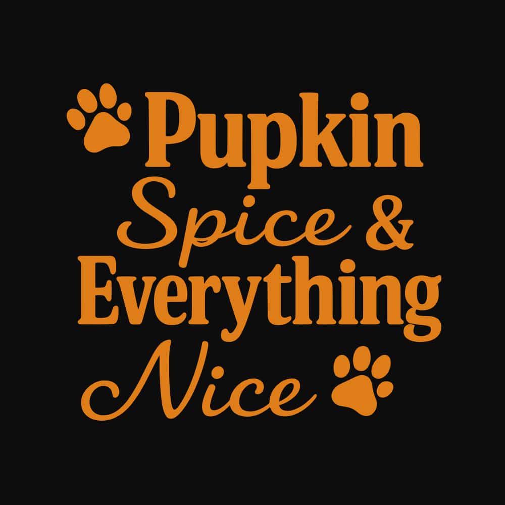 Secondary Product Image