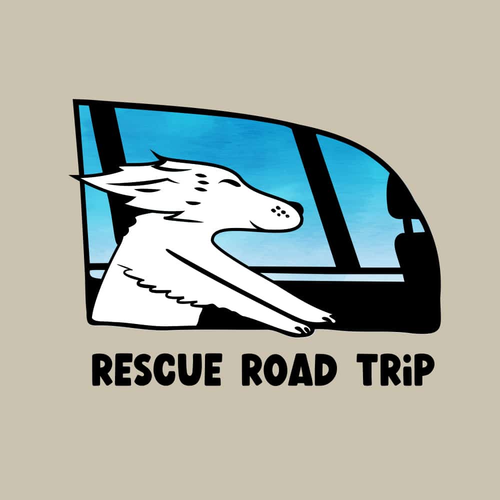 Secondary Product Image