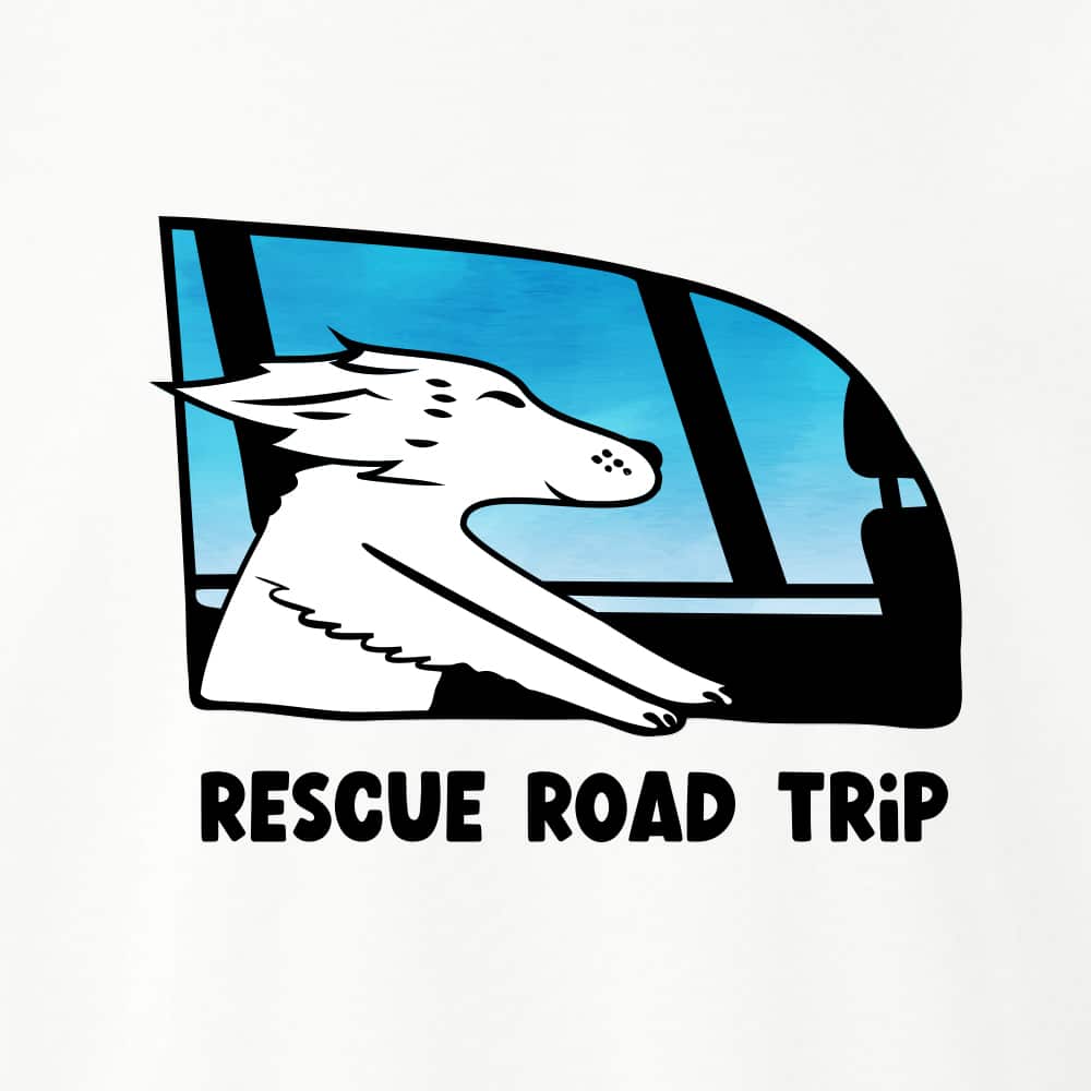 Secondary Product Image