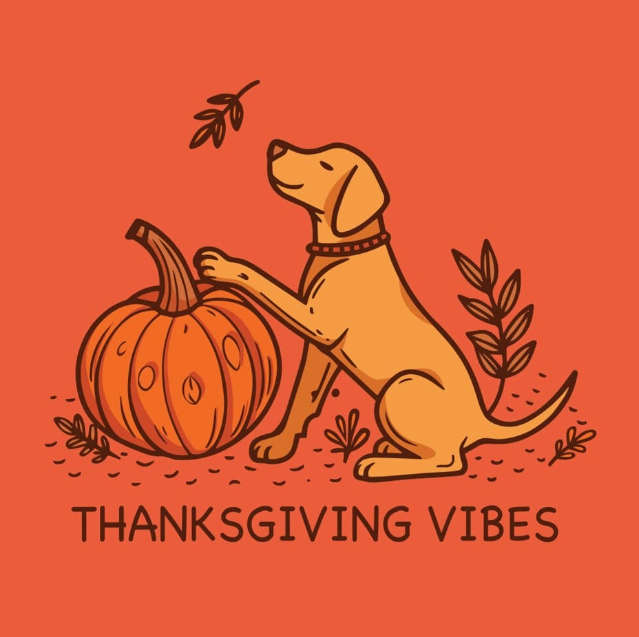 Secondary Product Image