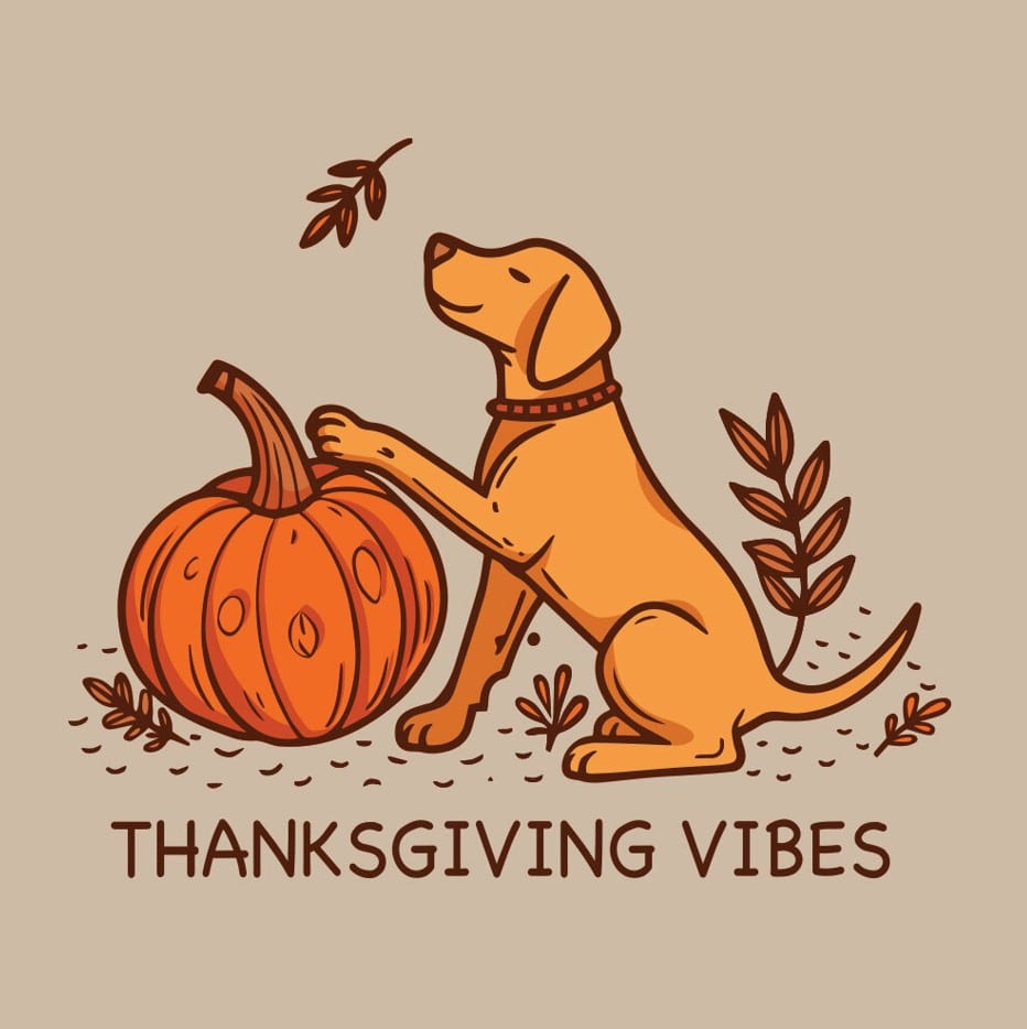 Secondary Product Image