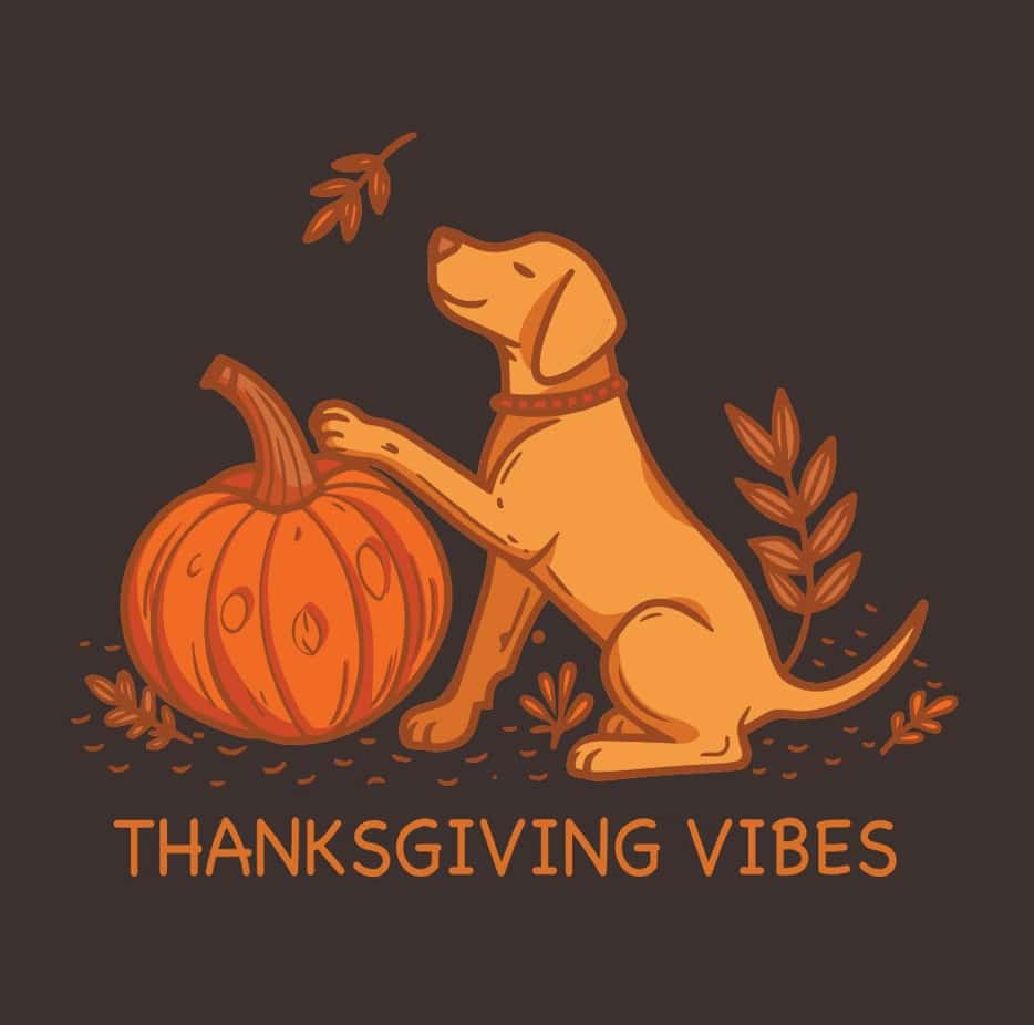 Secondary Product Image