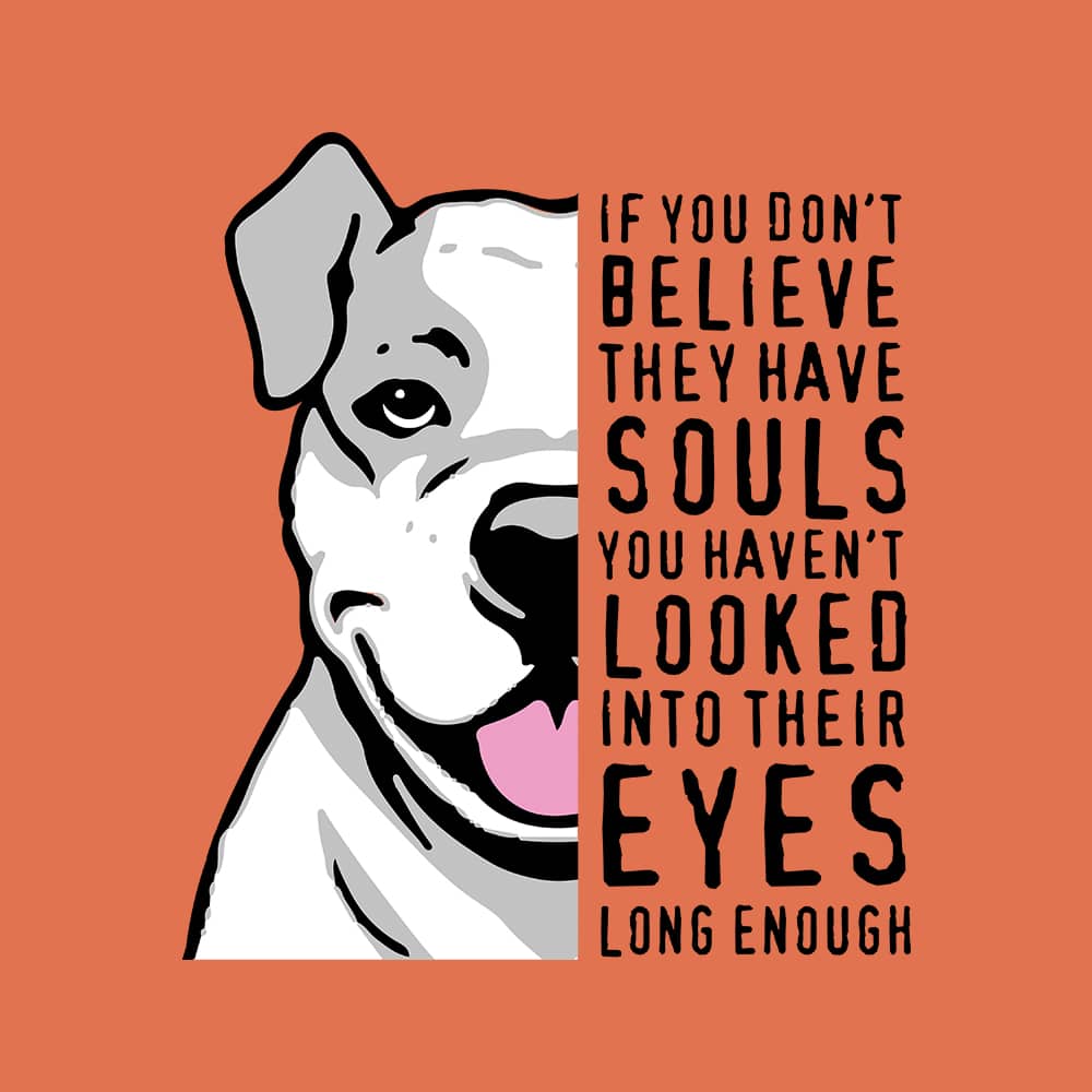 Secondary Product Image