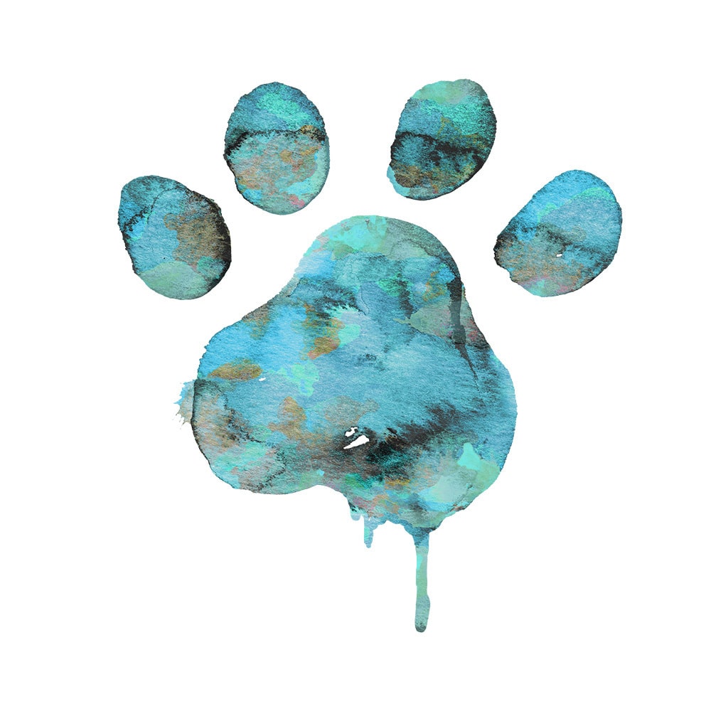 Secondary Product Image