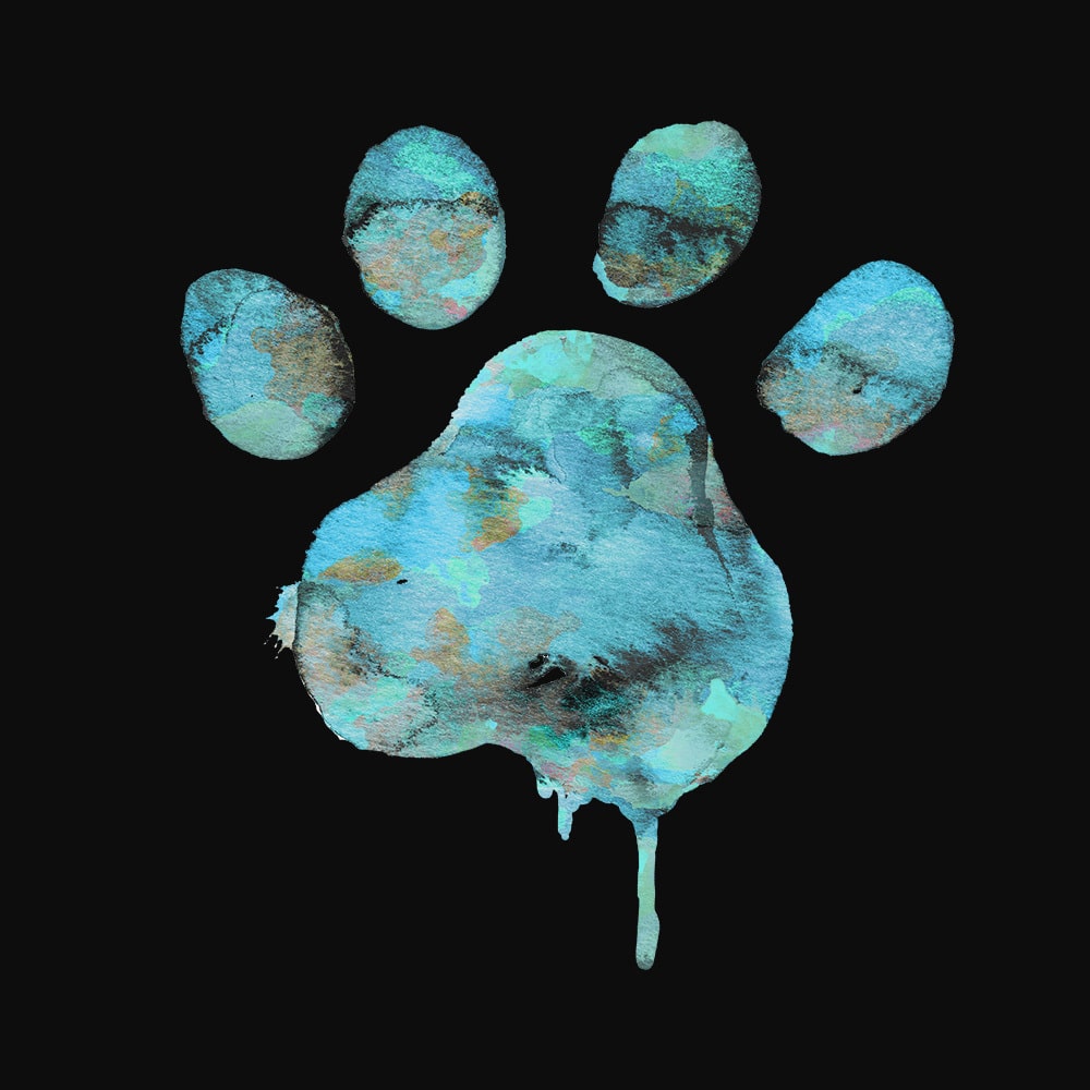 Secondary Product Image