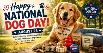 PetWireDaily — 19 Fun Gifts to Spoil Your Dog This National Dog Day