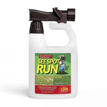 See Spot Run Lawn Protection | Dog Urine Grass Saver That Cures and Prevents Burn Spots
