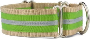 Martingale Collar for Dogs