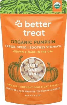 A Better Treat – Freeze Dried Organic Pumpkin Dog and Cat Treats