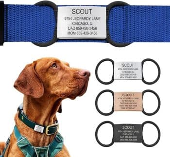 Road iD Personalized Dog Tags for Pets