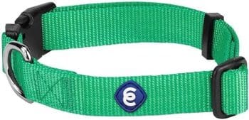 Blueberry Pet Essentials Medium Dog Collar