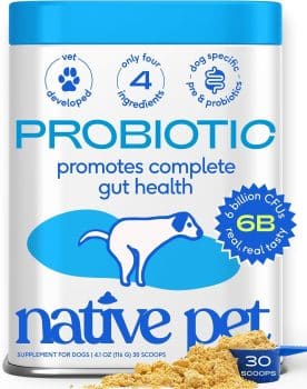 Native Pet Probiotics for Dogs – Dog Probiotic Powder for Gut & Digestive Health